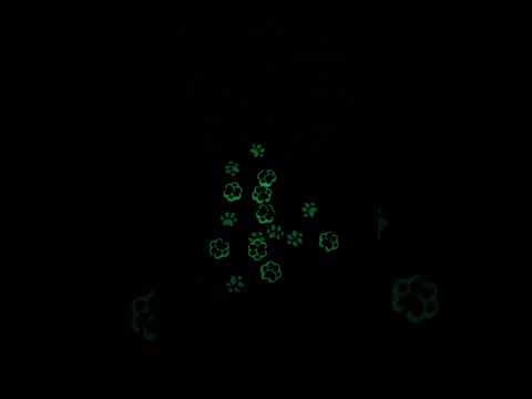 Avainkaulanauha Pimeässä hohtava tassu 90cm